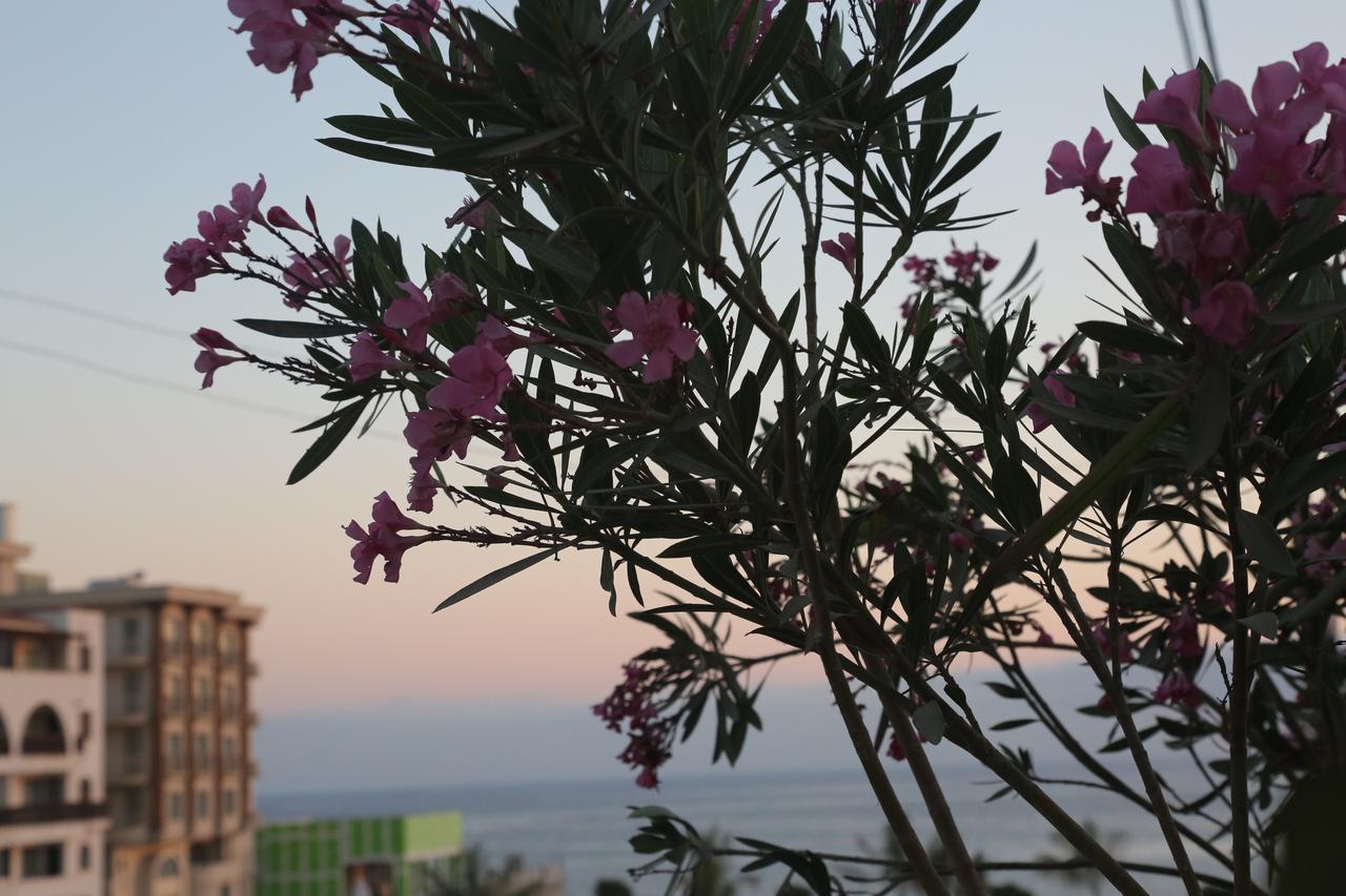 Kasgar Court Hotel Agia Varvara Ngoại thất bức ảnh